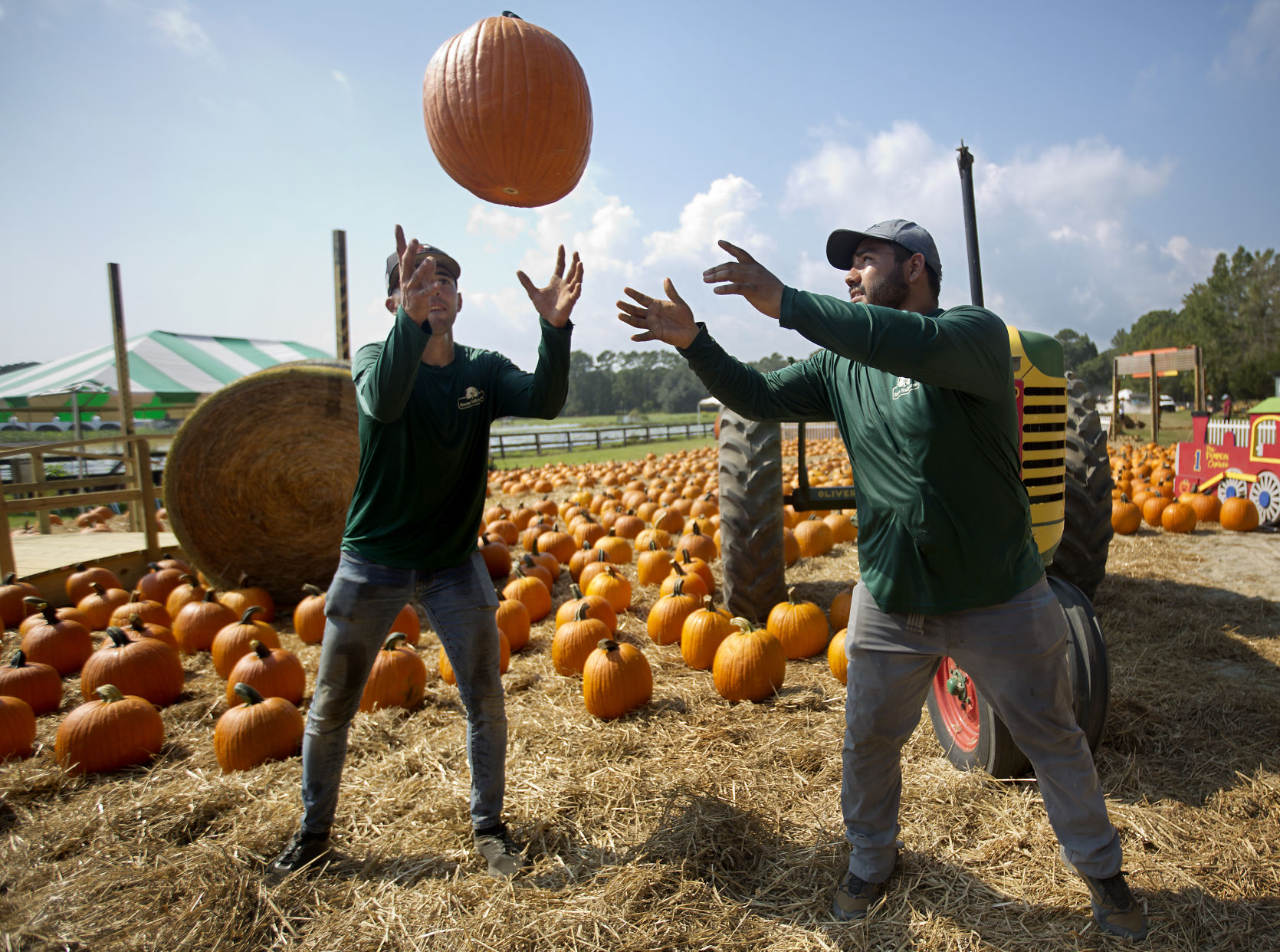 air pumpkin.jpg (copy)